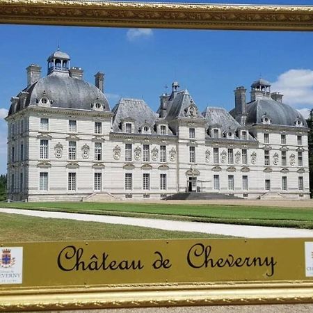 Les Capucines Proche Beauval & Chateaux Saint-Aignan  Εξωτερικό φωτογραφία