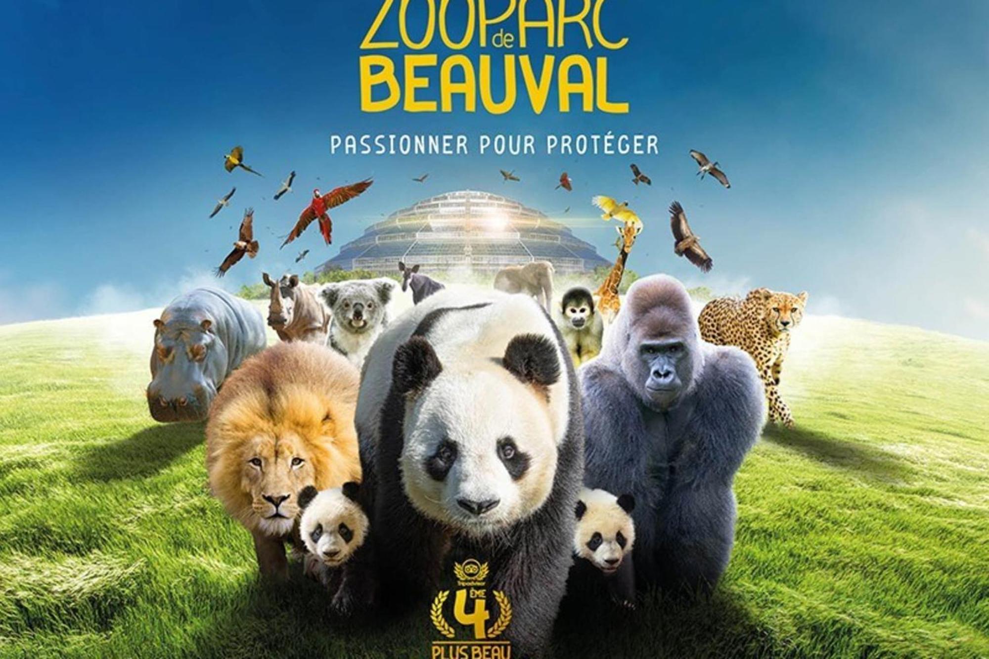 Les Capucines Proche Beauval & Chateaux Saint-Aignan  Εξωτερικό φωτογραφία